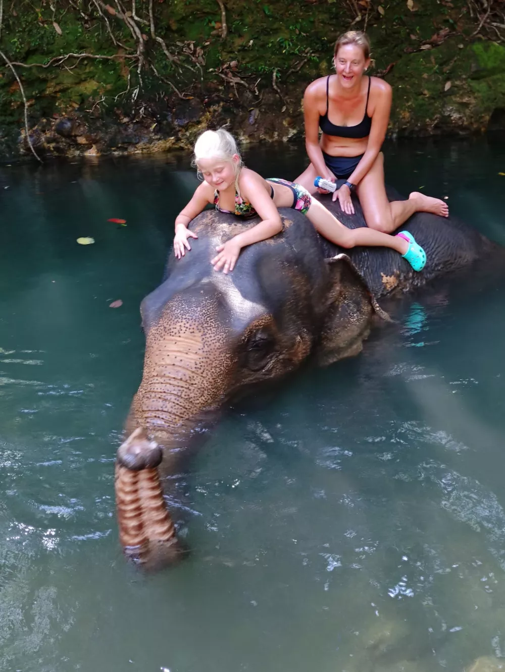 Koupání se slonem 